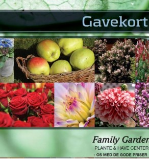 Gavekort til planteskole, havecenter, blomster, planter, vin og chokolade